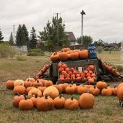 IMG8233