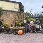 IMG8242